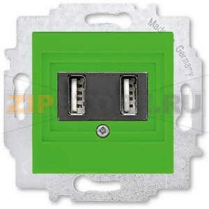 USB-розетка двойная, зелёная ABB 2CHH290040A6067 