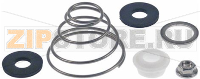 Set of seals for motor shaft OES mini 
