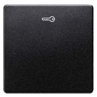 DELTA I-SYSTEM ЧЕРНЫЙ МЕТАЛЛИК ВЫКЛЮЧАТЕЛЬ 1 КЛАВИША С СИМВОЛОМ "КЛЮЧ" 55X55MM Siemens 5TG6228