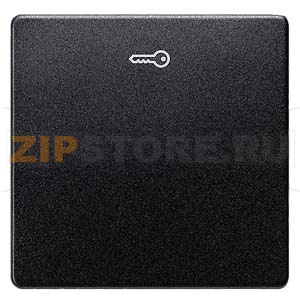 DELTA I-SYSTEM ЧЕРНЫЙ МЕТАЛЛИК ВЫКЛЮЧАТЕЛЬ 1 КЛАВИША С СИМВОЛОМ &quot;КЛЮЧ&quot; 55X55MM Siemens 5TG6228 