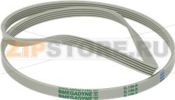 BELT MEGADYNE 1194 J5 EL POLY 