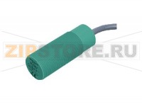 Ёмкостной датчик Capacitive sensor CJ10-30GK-WS Pepperl+Fuchs