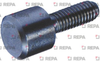 SLIDING ROD SCREW