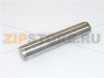 SPINA CILINDRICA INOX ø 10x50 mm 