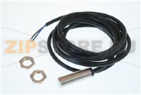 Magnetschalter Gewinde M12x1 1NO 250V 1A