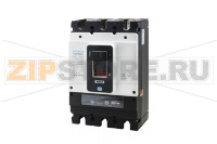 Выключатель автоматический в литом корпусе 700 А, 100 кА, 3 полюса Hyundai Electric HGP800H3PT4S0000C00700H