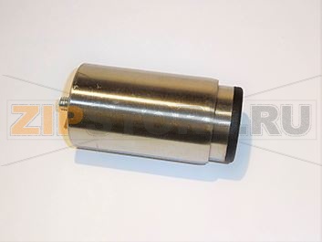 ADJUSTABLE FOOT 13/4 A304 W/SCREW M10X2 