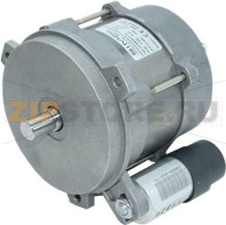 MOTOR FHP 230V 95W 