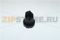 CONO USCITA LATTE CAPP.PHEDRA