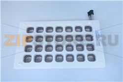 ASS.EVAP.STAGNATO 28 CUB. 20GR CS30 40 