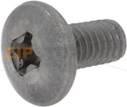 LARGE BOMBED HEAD SCREW M4x8 