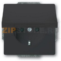 Розетка 16 А, 250 В, антрацитовая ABB 2496.00