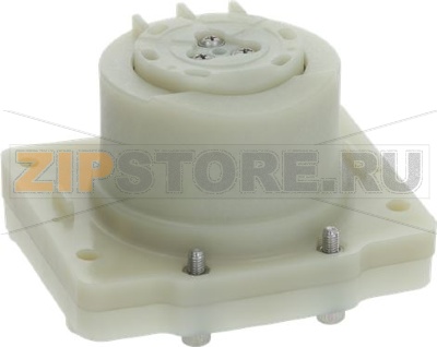 ASSEMBLED PISTON GROUP 