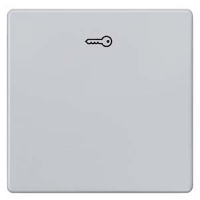 DELTA I-SYSTEM АЛЮМИНЕВЫЙ МЕТАЛЛИК ВЫКЛЮЧАТЕЛЬ 1 КЛАВИША С СИМВОЛОМ "КЛЮЧ" 55X55MM Siemens 5TG6248