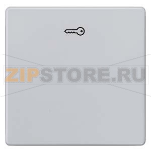 DELTA I-SYSTEM АЛЮМИНЕВЫЙ МЕТАЛЛИК ВЫКЛЮЧАТЕЛЬ 1 КЛАВИША С СИМВОЛОМ &quot;КЛЮЧ&quot; 55X55MM Siemens 5TG6248 