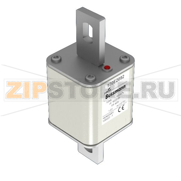 Предохранитель, 125 A, AC 500 В, 55x55x140 мм, aR, IEC Eaton FUSE 125A 500V TP 405 AR 