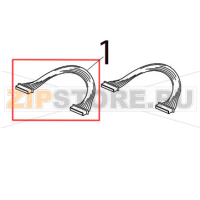 Head harness (power) Toshiba TEC B-SX4T-GS10/20-QQ