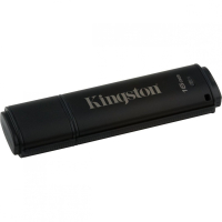 Накопитель USB 4 Гб Kingston DT4000G2DM-4GB