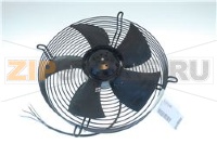 FAN MOTOR