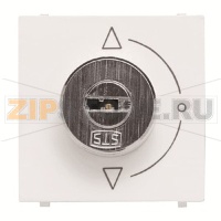 Механизм выключателя с ключом, двухмодульный, альпийский белый ABB 2CLA225300N1101