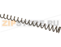 SCREW ENDLESS STEEL 12x2x141