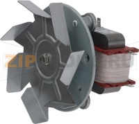 MOTOR WITH FAN
