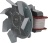 MOTOR WITH FAN