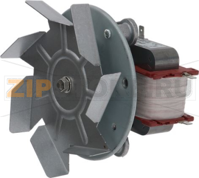 MOTOR WITH FAN 