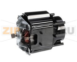 GRUPPO MOTORE, 120 V, HBF/HBH 