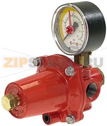 PRESSURE REGULATOR MODEL RGP250 