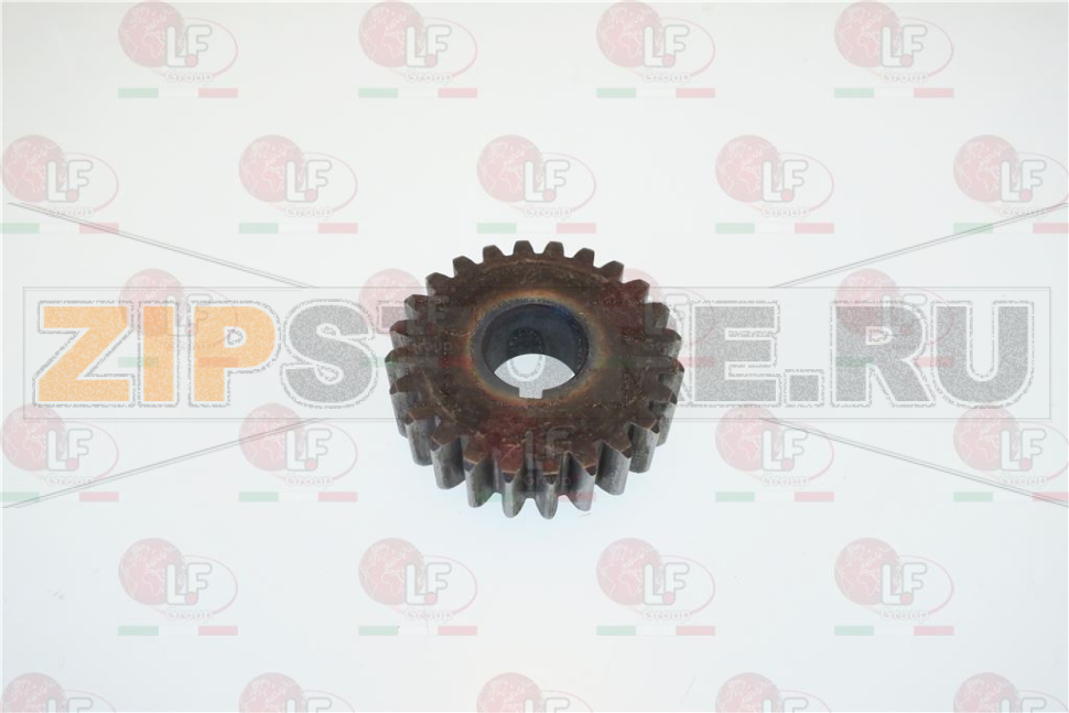 ШЕСТЕРНЯ PLT 20LT 