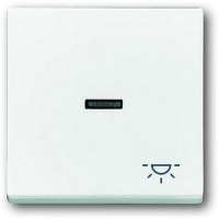 Клавиша выключателя/переключателя/кнопки с символом "Свет", альпийский белый ABB 549.30