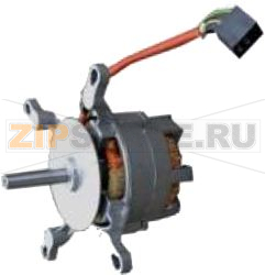 MOTOR THREE-PHASE 