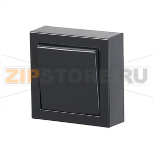 Кнопка нажимная, накладная, антрацитовая ABB 2TKA00001605 