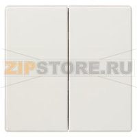 DELTA STYLE КЛАВИША ДВОЙНАЯ ПЛАТИНОВЫЙ МЕТАЛЛИК Siemens 5TG7145-1