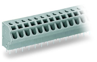 PCB terminal block; 2.5 mm; Pin spacing 5/5.08 mm; 2-pole; PUSH WIRE®; 2,50 mm; black Wago 254-452/000-004