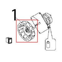 Fan Angelo Po 1G1PE1EV