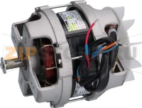 MOTORE OLONG 0,37kW 230/240V 50Hz