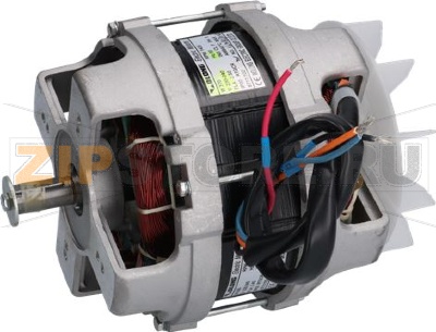 MOTORE OLONG 0,37kW 230/240V 50Hz 