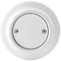 Заглушка, белый фарфор ABB 2CHK050100C4500