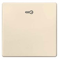 DELTA I-SYSTEM ЭЛЕКТРИЧЕСКИЙ БЕЛЫЙ ВЫКЛЮЧАТЕЛЬ 1 КЛАВИША С СИМВОЛОМ "КЛЮЧ" 55X55MM Siemens 5TG6278