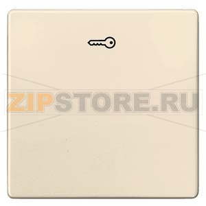 DELTA I-SYSTEM ЭЛЕКТРИЧЕСКИЙ БЕЛЫЙ ВЫКЛЮЧАТЕЛЬ 1 КЛАВИША С СИМВОЛОМ &quot;КЛЮЧ&quot; 55X55MM Siemens 5TG6278 