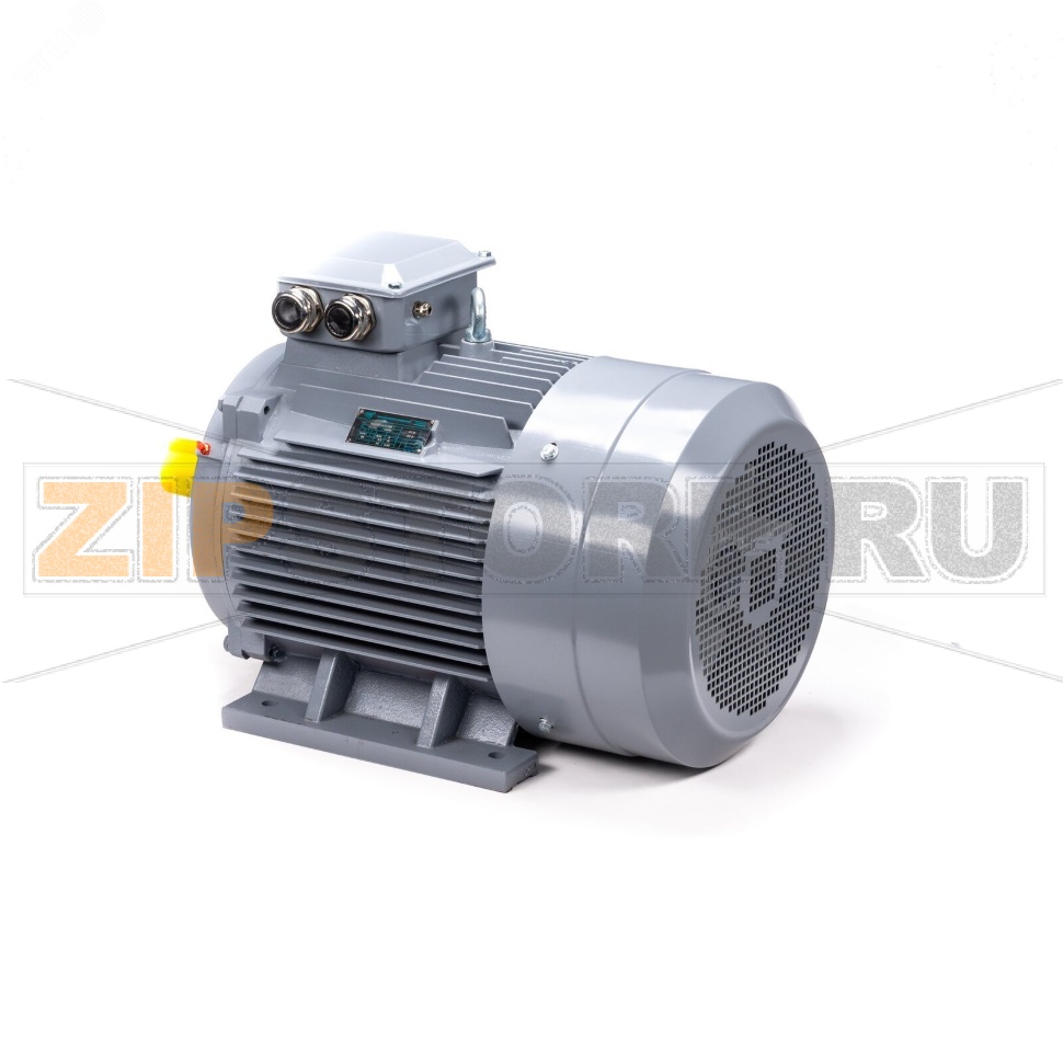 Электродвигатель трехфазный 37 кВт, 380/660 В, 3000 об/мин, IP55 ESQ 01.01.223794 
