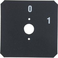 САМОКЛЕЯЩАЯСЯ ЭТИКЕТКА 0-1 58X58 MM