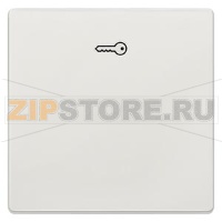 DELTA STYLE ТИТАНОВО-БЕЛЫЙ ВЫКЛЮЧАТЕЛЬ 1 КЛАВИША С СИМВОЛОМ "КЛЮЧ" 68Х68ММ Siemens 5TG7148