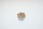 KNOB, LOCKING TOP COVER