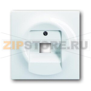 Накладка для однопостовой розетки с полем для надписи ABB 2CKA001753A8964 