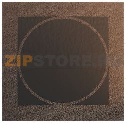 PLAQUE VITRO 370 x 370 mm 