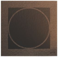 PLAQUE VITRO 370 x 370 mm
