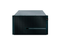 Система хранения данных IBM 2105F20